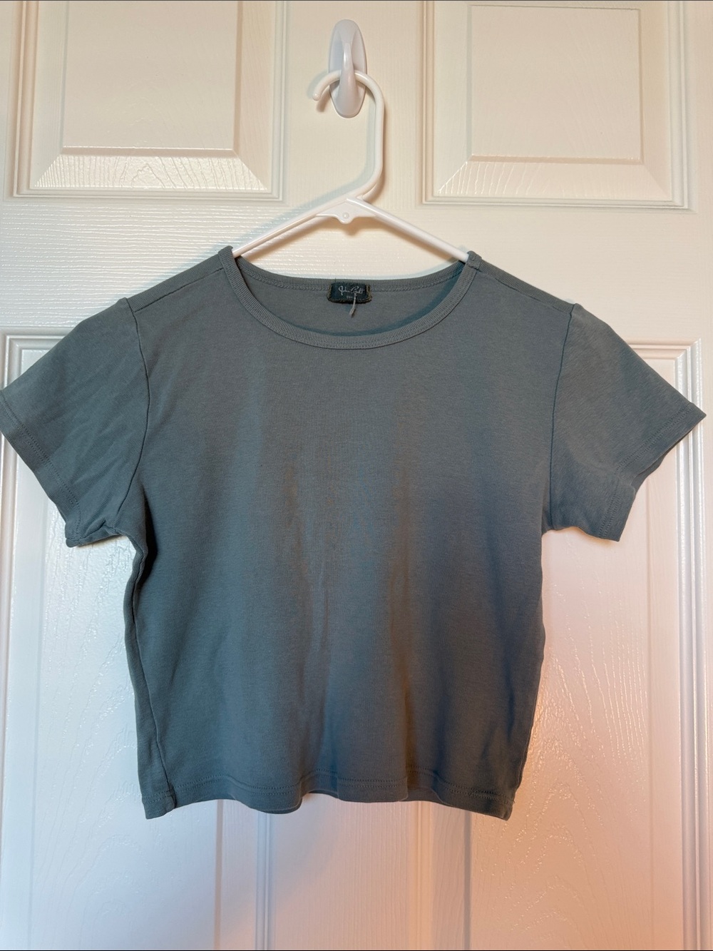 Brandy Melville Cropped Crew Tee - Dusty Slate